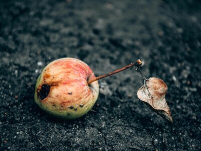 Yoga Sūtra / La acción (karma), por Martyn Neal (3ª parte) 354 karma