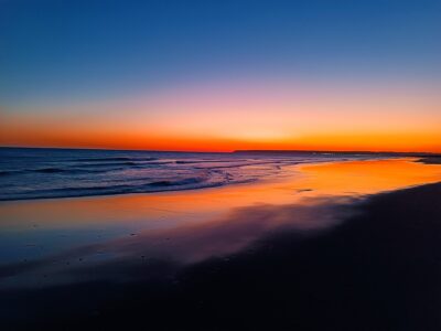 ¿Gurús? Qué, para qué y cómo – 4ª parte / La verdad 355 la verdad1.1