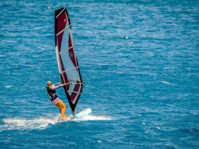 Yoga Sūtra / La acción (karma), por Martyn Neal (4ª parte) 354 yoga sutra