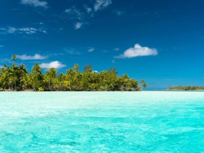 Yoga Sūtra/ La acción (karma) 5ª parte, por Martyn Neal 354 yoga sutra