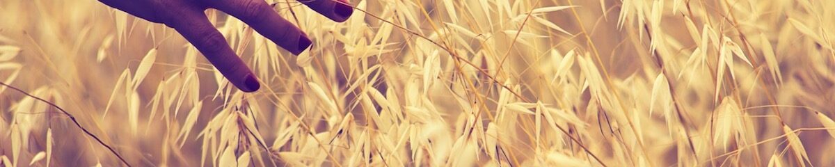 Habitar la integridad que somos 1 Foto de Javier Diaz