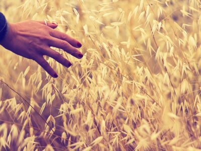 Habitar la integridad que somos 355 Foto de Javier Diaz