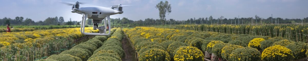 La leyenda de Lumiel (el amor que ilumina) 3 leyenda