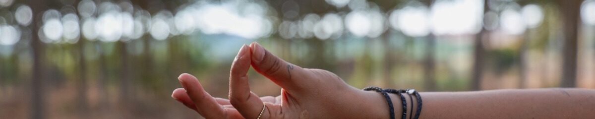 El silencio que se sella en las manos 1 Mudras