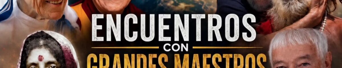 4 maestros