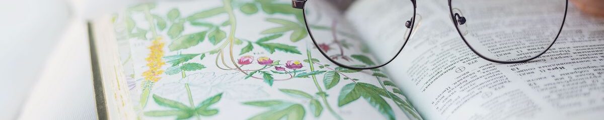 Esenciales: La Ilustración y el Espíritu 1 ilustracion