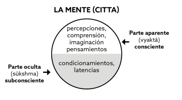 Yoga Sūtra: Los condicionamientos (samskāra) y las latencias (vāsana), por Martyn Neal (1) 2 cuadro