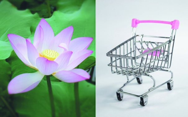 El debate ineludible: pureza versus comercialización del yoga 1 loto