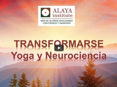Transformarse: Yoga y Neurociencia 355 transformarse