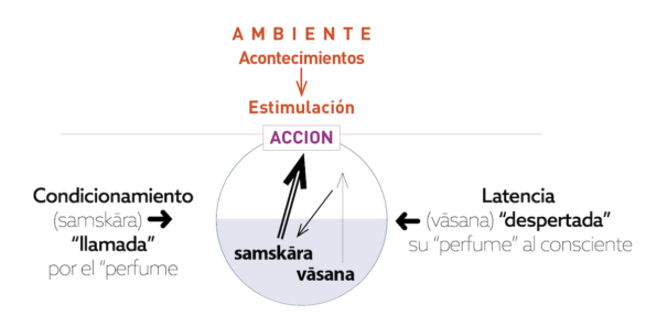 Yoga Sūtra/ Los condicionamientos (samskāra) y las latencias (vāsana) (2), por Martyn Neal 2 ambiente