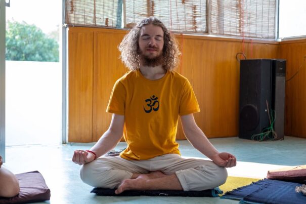 Presente y futuro de las escuelas independientes de yoga tradicional 1 escuelas