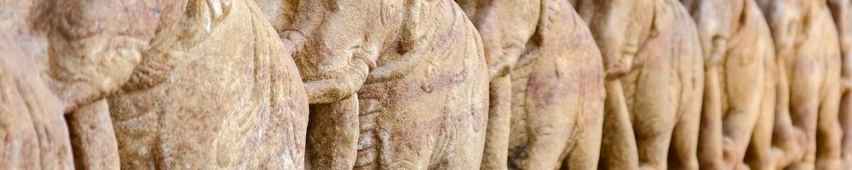 El pensamiento como herramienta 3 pensamiento